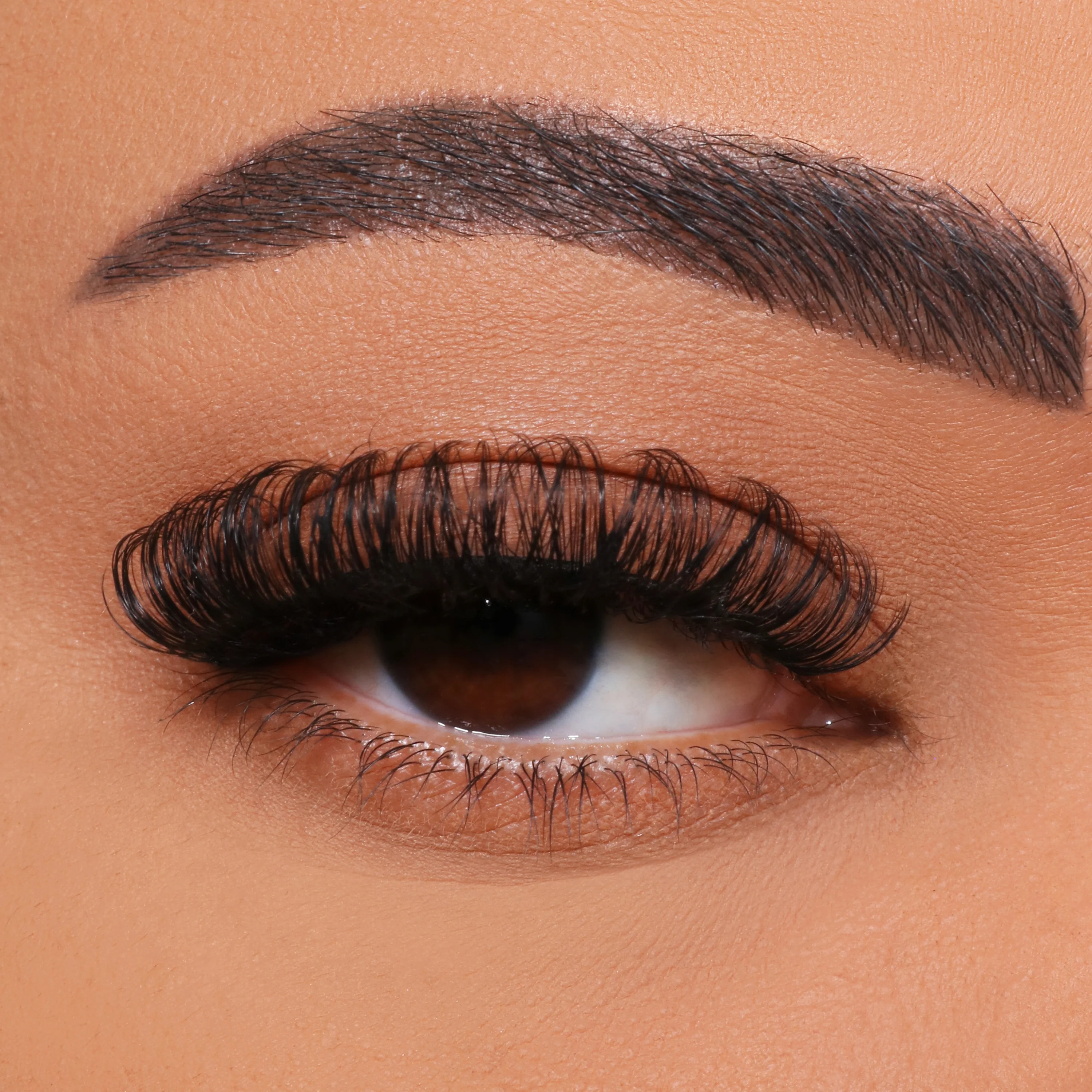 Hvordan man kan DIY multi-blomstrende øjenvipper podning?